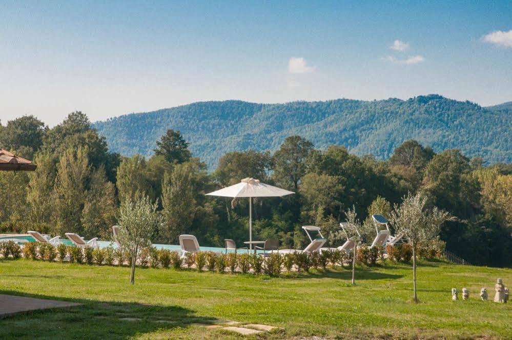 Agriturismo La Collina Del Sole Coltavolino Екстер'єр фото